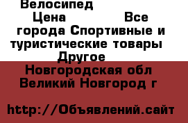 Велосипед Viva Castle › Цена ­ 14 000 - Все города Спортивные и туристические товары » Другое   . Новгородская обл.,Великий Новгород г.